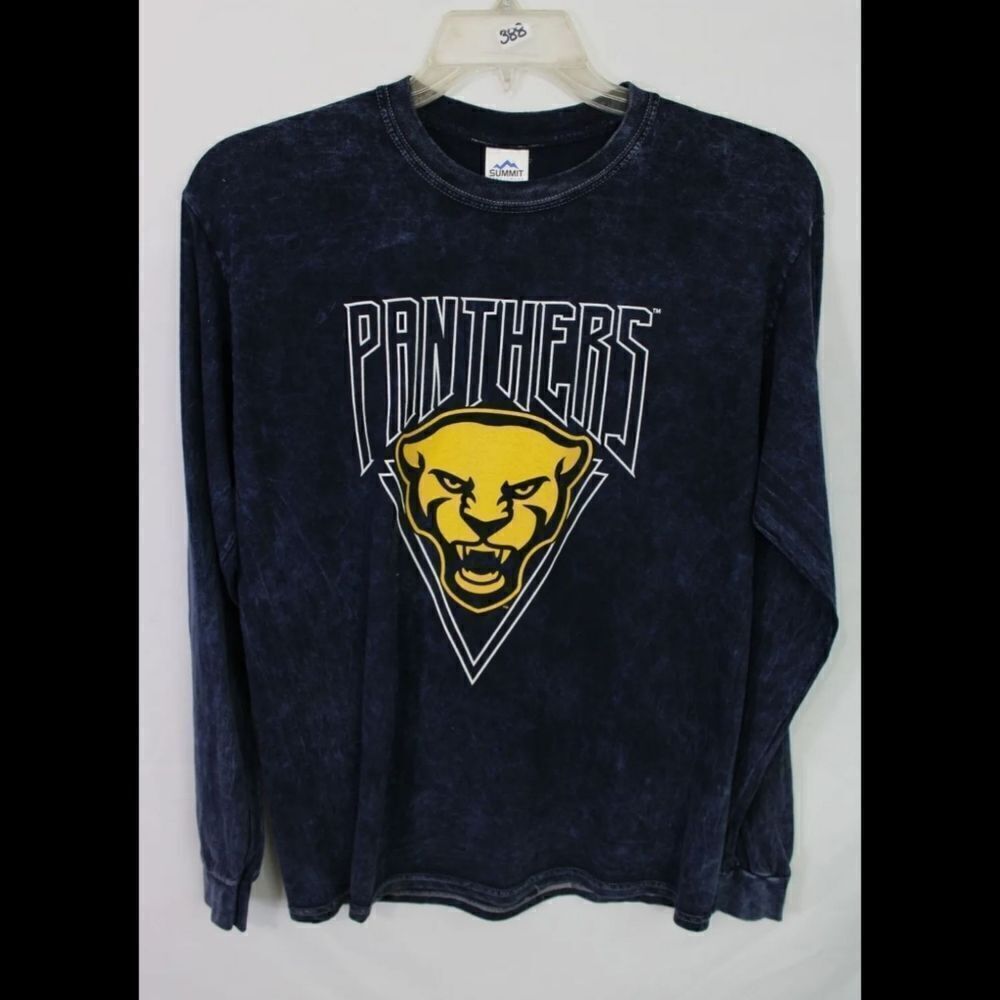 SUMMIT BELLA MINERAL WASH BOYFRIEND LONG SLEEVE TEE PANTHERS SIZE M NWT